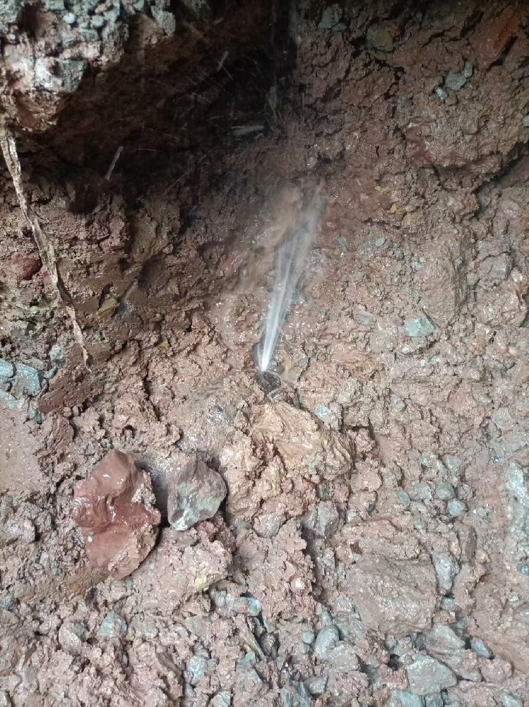 龙凤区本地服务：自来水管漏水检测维修
